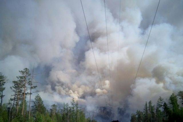 Военная авиация поможет тушить лесные пожары в России