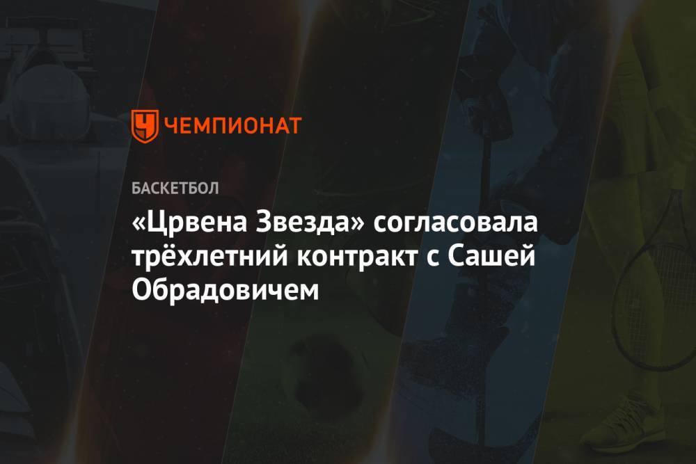 «Црвена Звезда» согласовала трёхлетний контракт с Сашей Обрадовичем