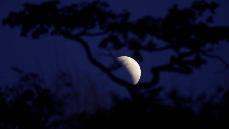 Лунное затмение 5 июня 2020 года: кто можно делать, а что нельзя во время полнолуния под воздействием Марса и Венеры