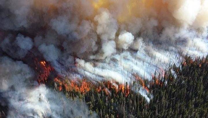 В Бурятии тушат два крупных лесных пожара