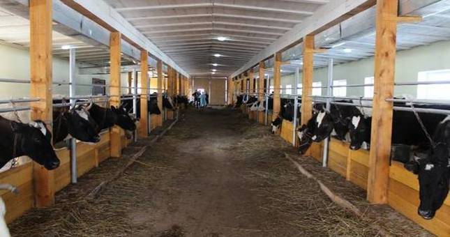 В селе Анджин Рошткалинского района построили современный сарай для скота
