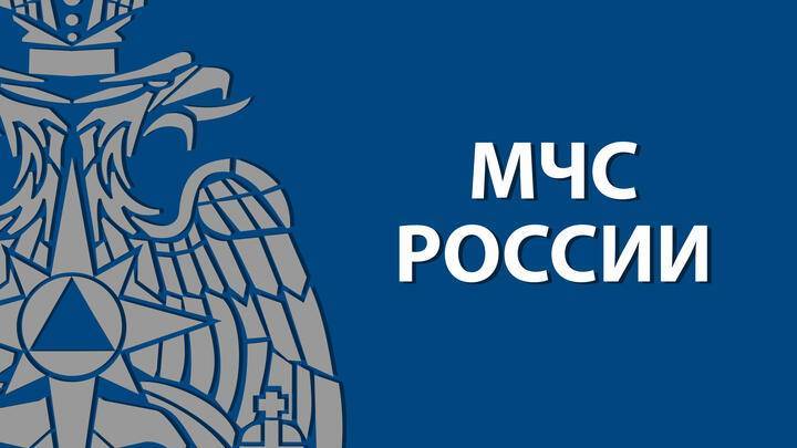 Виктор Ничипорук назначен заместителем министра МЧС России