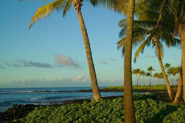 На Гавайях зафиксированы рекордные показатели концентрации CO2