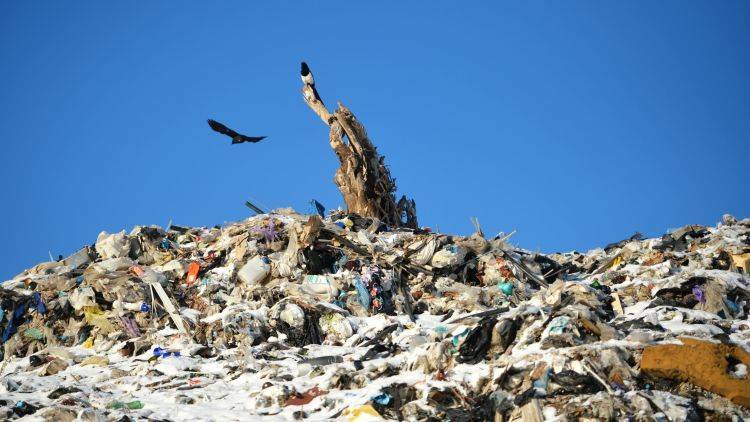 На шесть меньше: где в Крыму готовят к рекультивации мусорные полигоны