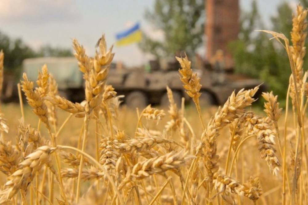 Во Львовской области участники боевых действий получили более семи тысяч земельных участков