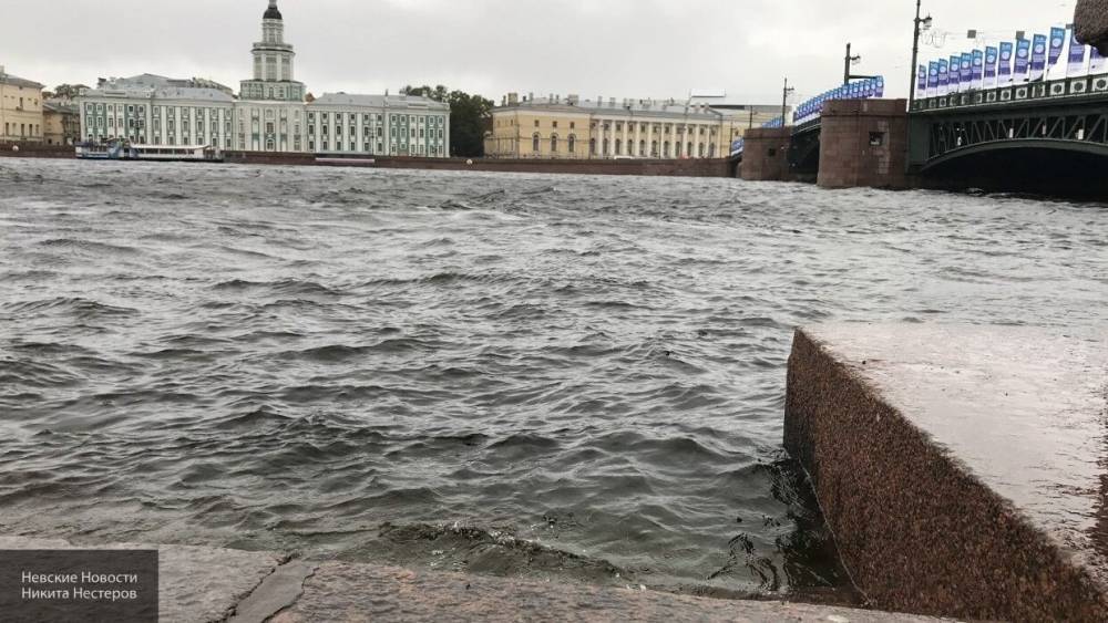 Петербургские спасатели вытащили на берег тонувшую в Неве женщину