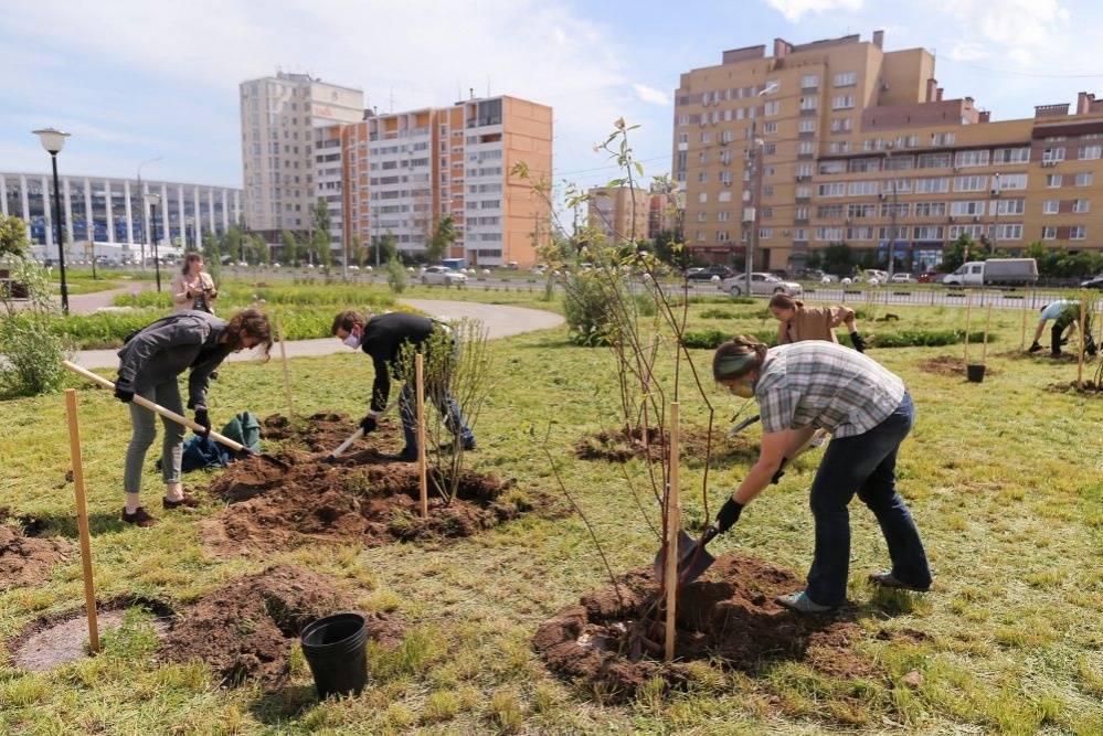 Площадь озеленения кварталов Нижнего Новгорода увеличится в два раза
