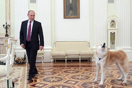 Путин настоял на закреплении в Конституции ответственного отношения к животным