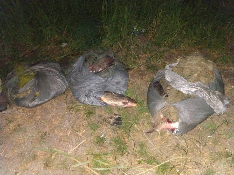 Под Одессой задержали 7 браконьеров: злоумышленники в авто «Нива» устроили наезд на правоохранителей