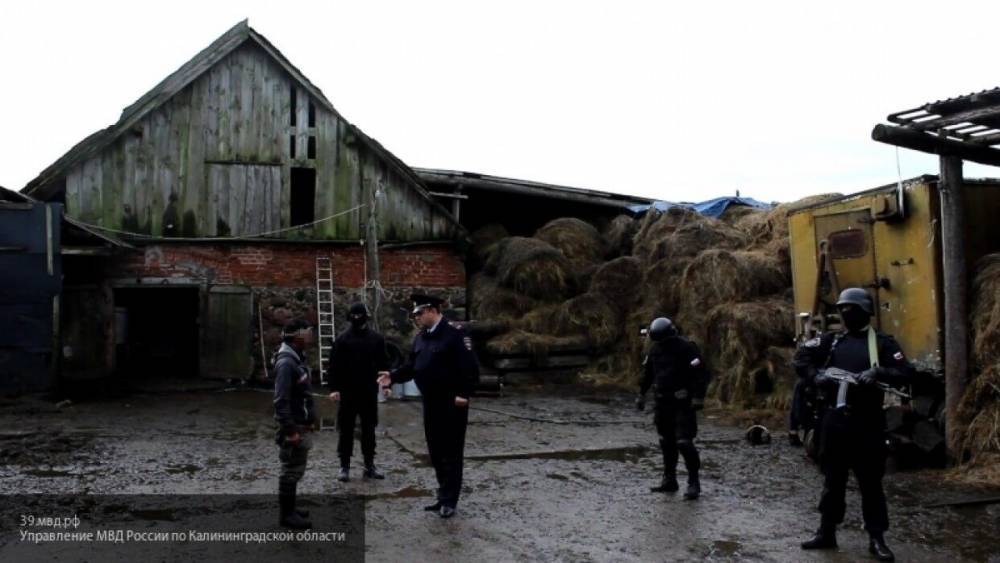 Жители сибирской деревни пожаловались в СК на банду психов-подростков