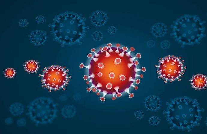 Ученые узнали, как коронавирус проникает в человеческий мозг