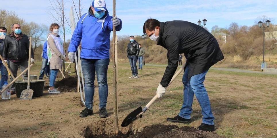 Путин назвал блестящей идею "Волонтеров Победы" высадить 27 млн деревьев в честь павших в Великой Отечественной войне