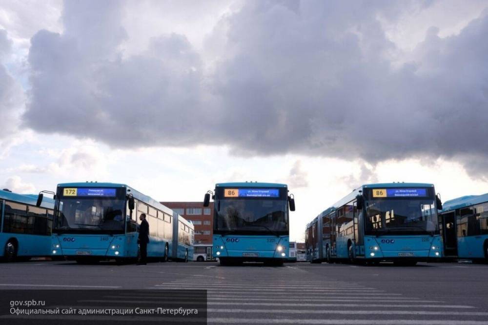 "Метробусы" начнут курсировать по Петербургу в вечерние и ночные часы с 8 июня