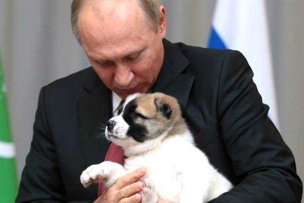 Путин решил внести в Конституцию норму об ответственном отношении к животным