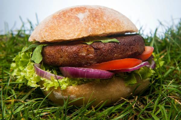Веганский чизбургер с насекомыми: Еврокомиссия вводит новые стандарты питания