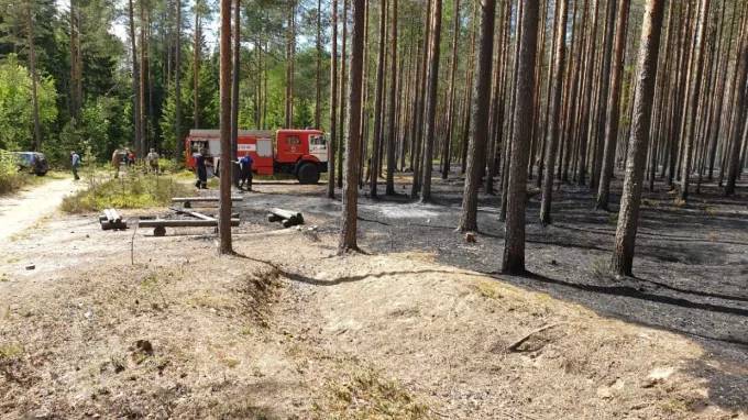 В Петербурге произошел первый лесной пожар