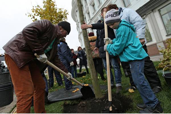 Путин оценил идею высадить 27 млн деревьев в память о солдатах Великой Отечественной