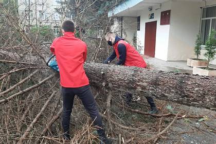 Активисты помогли устранить последствия урагана в Северной Осетии
