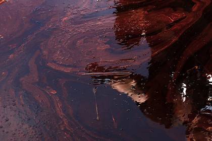 Утечка нефтепродуктов в реку произошла в 40 километрах от резиденции Путина