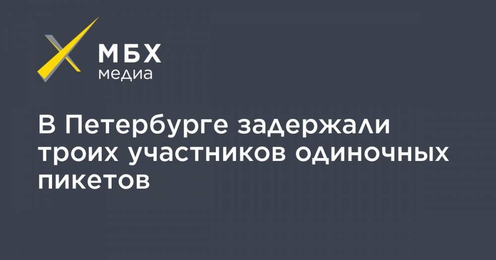 В Петербурге задержали троих участников одиночных пикетов