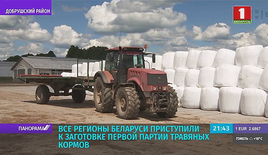 В Беларуси первый укос трав выполнен на 246 тыс. га