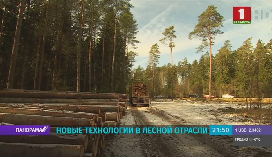 В лесхозах Беларуси тестируют электронную систему учета древесины