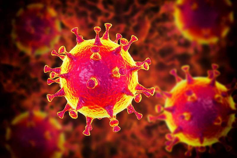В коронавирусе нашли часть человеческого белка - Cursorinfo: главные новости Израиля