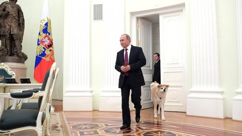 Президент России поддерживает поправки о защите животных