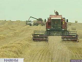Аграрии Минской области уверенно ведут массовую уборку зерновых