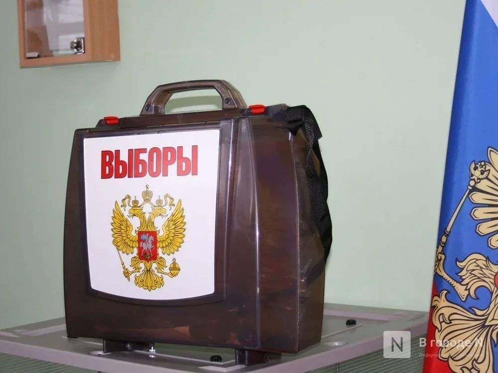 Регистрация на дистанционное голосование по поправкам в конституцию началась в Нижегородской области