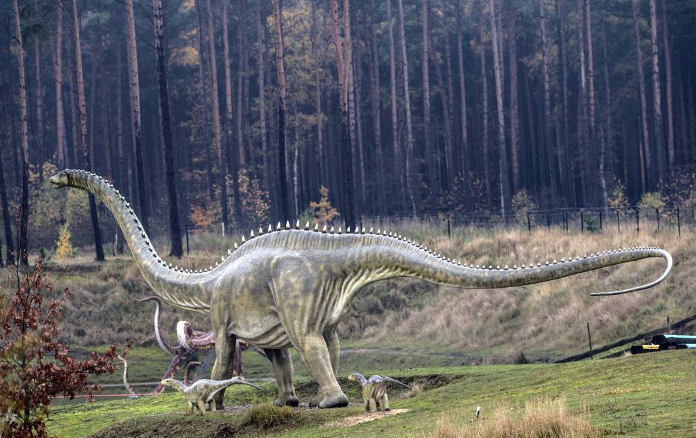 Российские ученые воссоздали мозг динозавра в 3D
