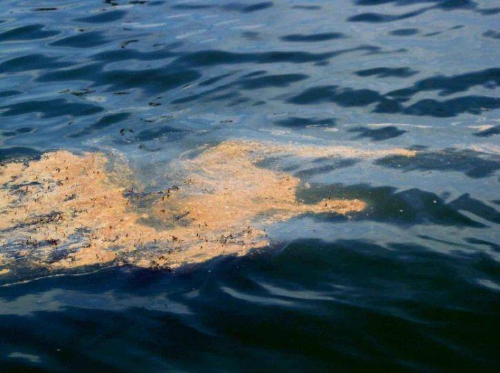 У берегов Саратова в Волге появилось нефтяное пятно