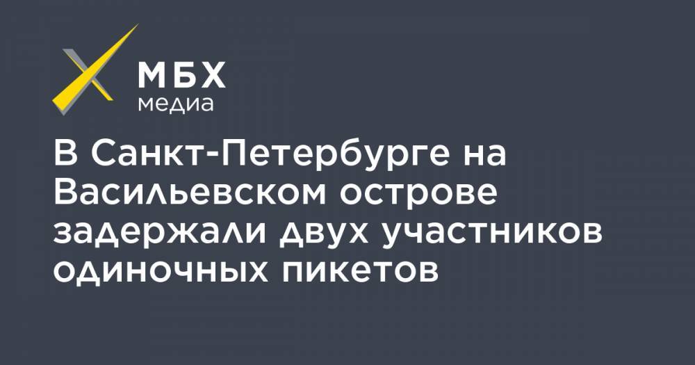 В Санкт-Петербурге на Васильевском острове задержали двух участников одиночных пикетов