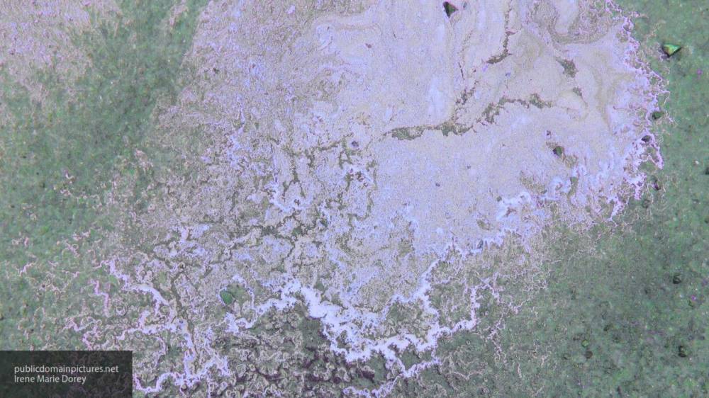 Около десятка кубометров нефтепродуктов пропитало почву на Ямале