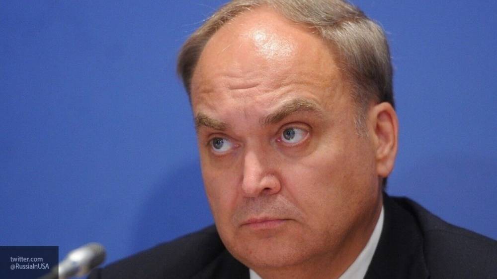 Посол Антонов назвал обвинения в поддержке РФ беспорядков в США "чушью и чепухой"