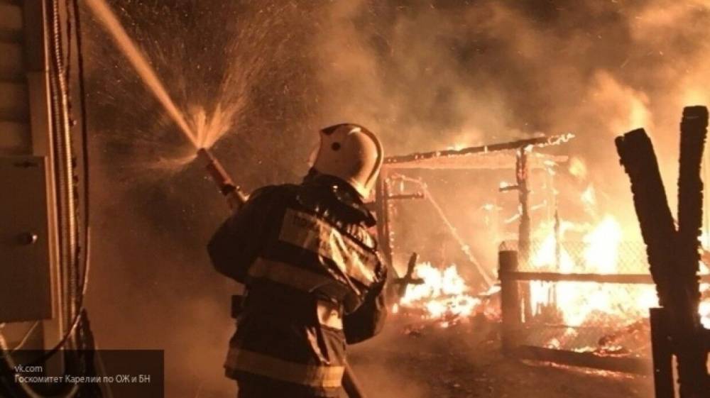 Пожарные спасли 199 животных из горящего телятника в Волгоградской области