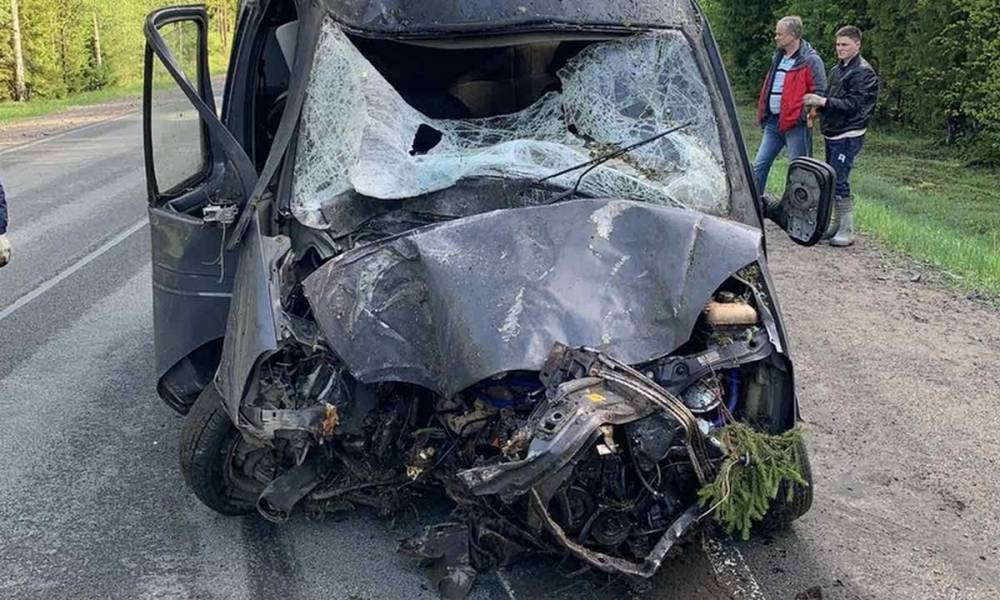 В Карелии водитель уснул за рулем и попал в страшное ДТП