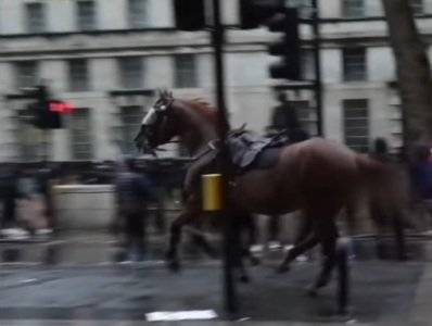Во время демонстраций против расизма в Лондоне произошло столкновение с полицией: лошадь полицейского понесла
