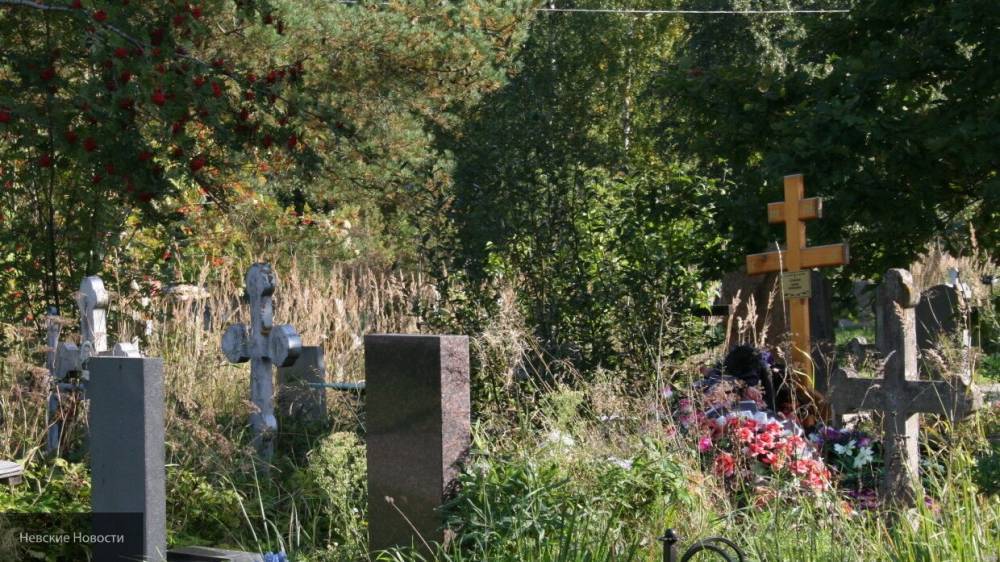 Листва и пух привели к возгоранию могил на кладбище в Челябинске