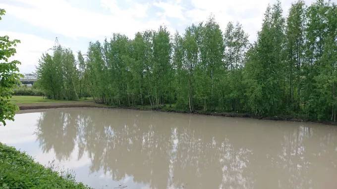Раскрыта причина помутнения воды в Нижнем Буферном пруду в Петербурге