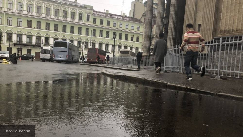 МЧС предупредило жителей Петербурга о сильном ветре и грозах в понедельник