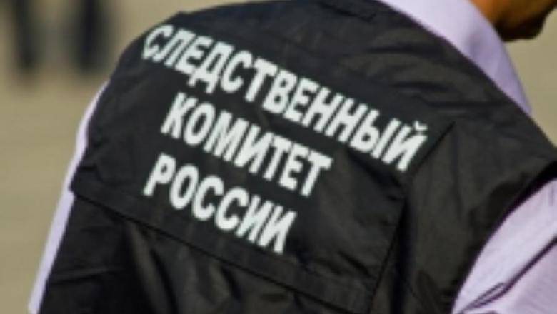 Сотрудники СКР нашли похищенного в Подмосковье сына адвоката Скрыпника