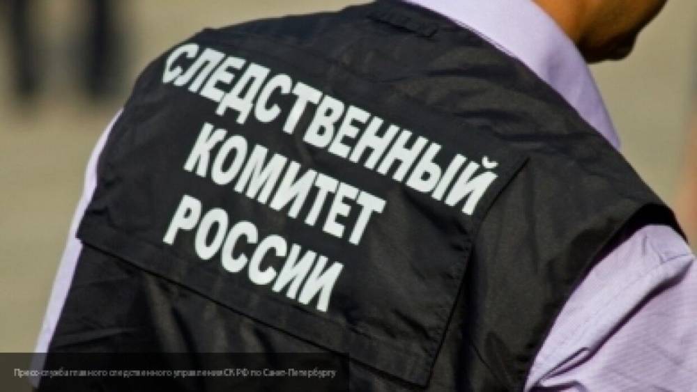 СК сообщил о втором подозреваемом в убийстве девочки, найденной под Красноярском