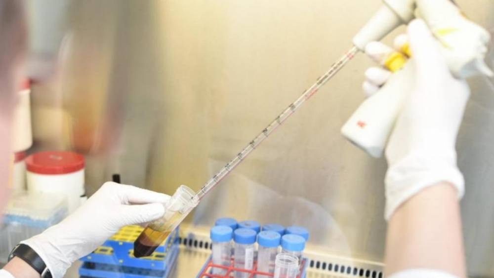 Актуальная статистика по коронавирусу: уже больше 169 тыс. пациентов в Германии выздоровели после заражения