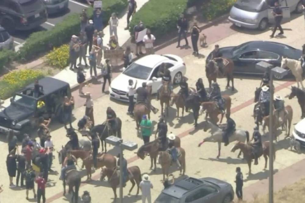 На акцию протеста в Лос-Анджелесе прибыли ковбои на лошадях