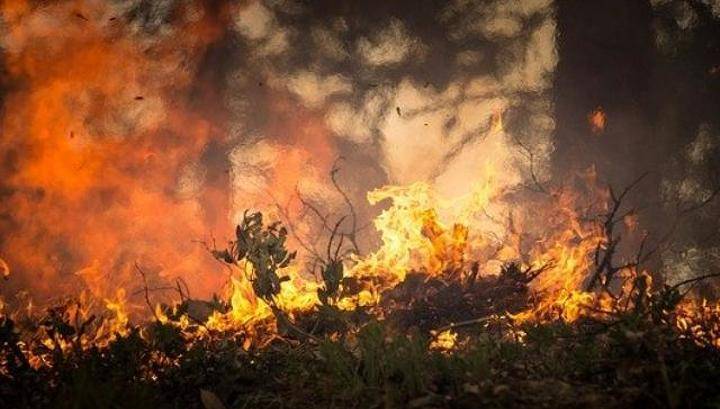 В Бурятии ликвидировали два крупных лесных пожара