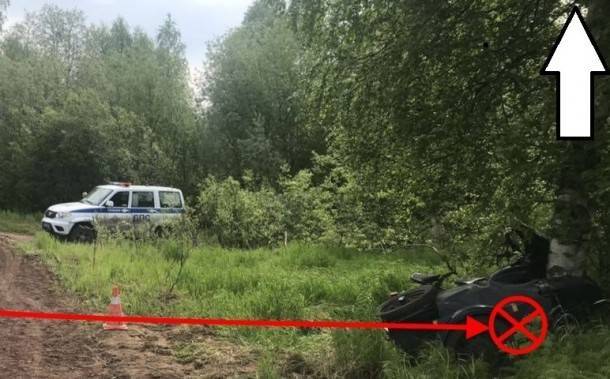 Дерево и опора ЛЭП помешали водителям Коми на дороге