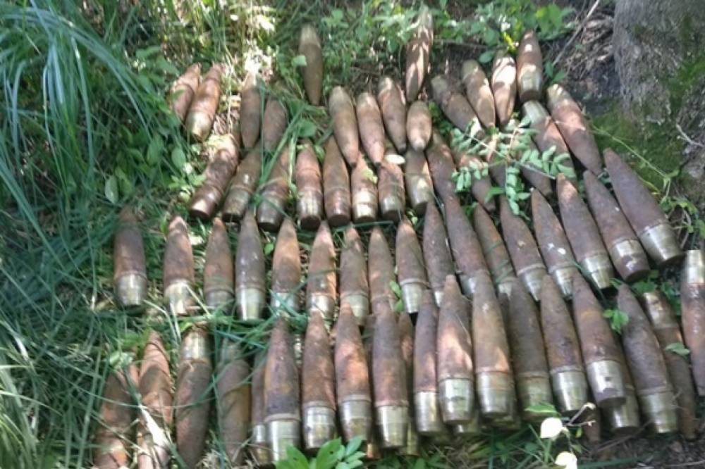 Под Винницей в парке обнаружили более 700 снарядов времен Второй Мировой войны