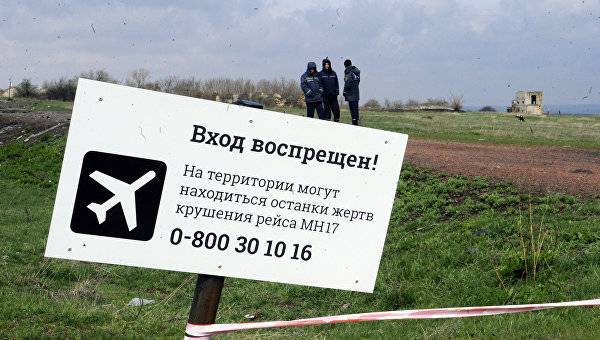 В сети появились новые подробности о крушении рейса МН17 на Украине