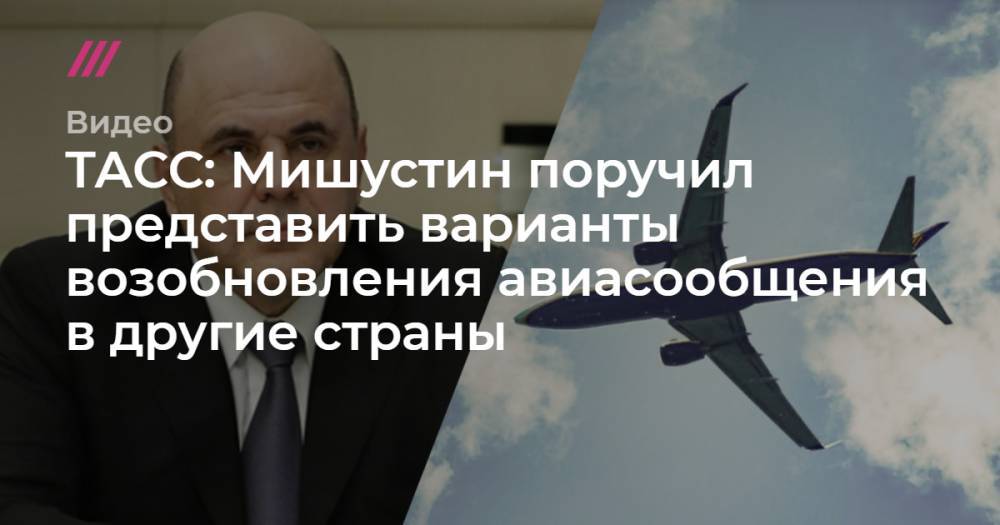 ТАСС: Мишустин поручил представить варианты возобновления авиасообщения в другие страны